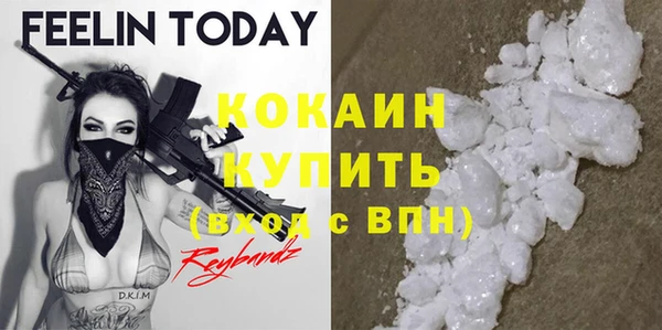 шишки Фурманов
