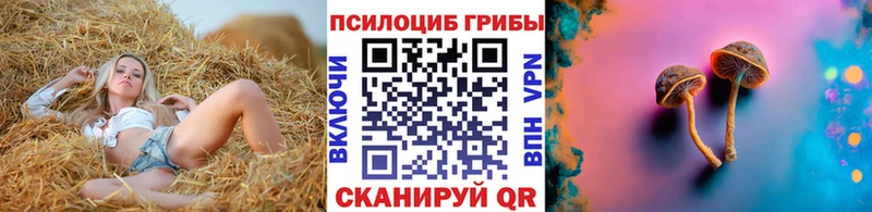 Галлюциногенные грибы мицелий  где продают наркотики  Новороссийск 