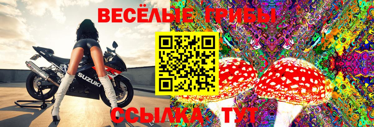 Псилоцибиновые грибы Psilocybe  Вход с VPN  Новороссийск 